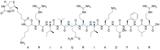 Biotinyl-KR-12 (human)/2022956-47-2/多肽合成