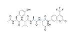 底物肽Ac-YVAD-AFC 219137-85-6