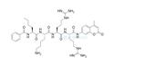 Bz-Nle-Lys-Arg-Arg-AMC 863975-32-0 底物肽