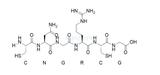 NGR肽/细胞穿膜肽NGR Peptide/651328-78-8