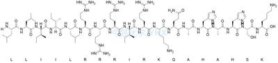 pVEC(Cadherin-5)/383430-30-6/多肽合成